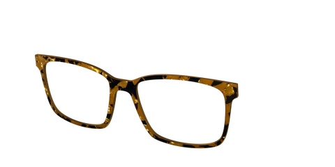 The Tiger's Eye Pearl Tortoise