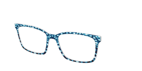 The Whale Shark Spots