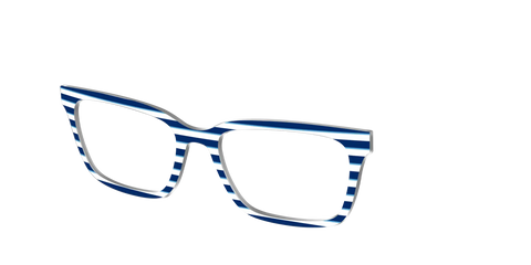 The Navy Stripes