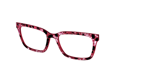 The Raspberry Pearl Tortoise