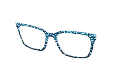 The Whale Shark Spots