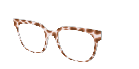 The Caffé Tortoise