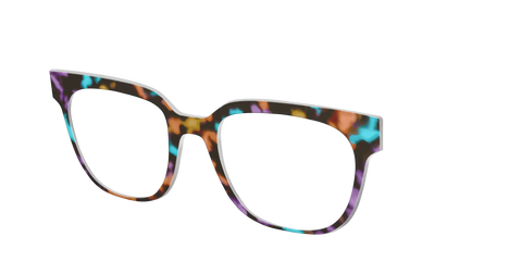 The Summer Tortoise