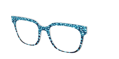 The Whale Shark Spots