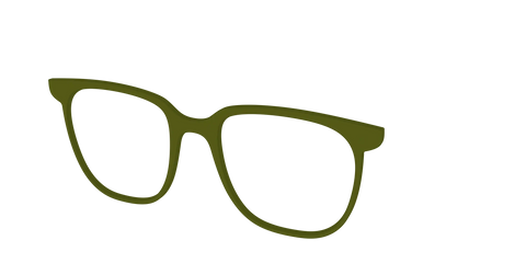 The Army Green