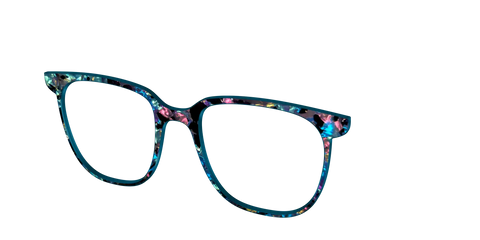 The Black Prismatic Pearl Tortoise