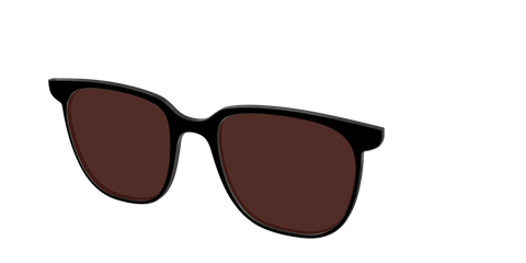 The Black with Brown Golf Lens