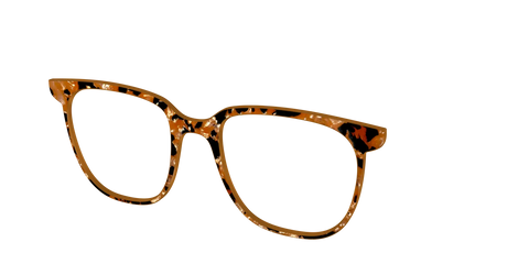 The Caramel Pearl Tortoise