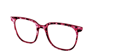 The Raspberry Pearl Tortoise