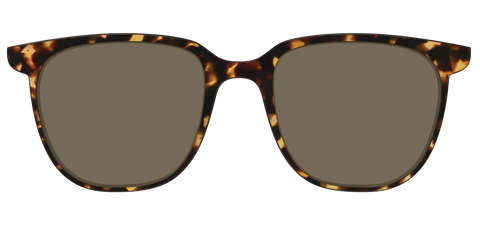 The Polarized Tortoise Sun Top
