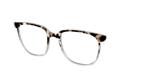 The Vanilla Latte Tortoise