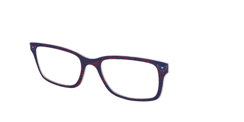 The Capitals® Ice