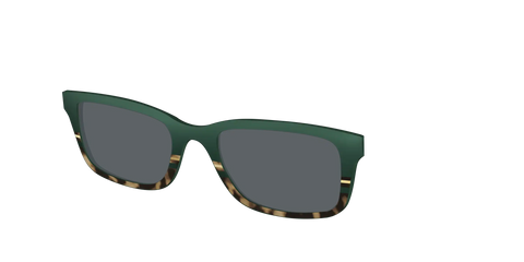 The Polarized Spruce Tortoise Sun Top
