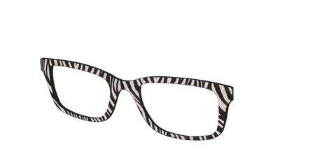 The Zebra Stripes
