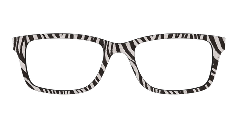 The Zebra Stripes