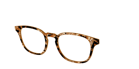 The Caramel Pearl Tortoise