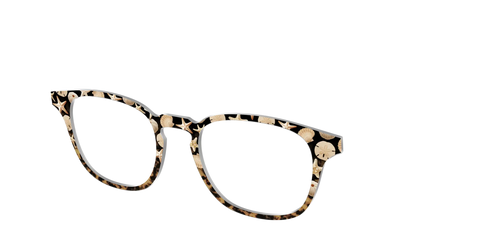 The Ocean Treasures Tortoise