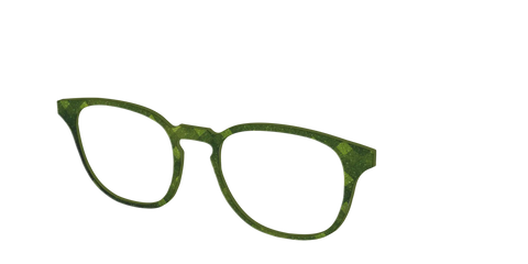The Olive Geo