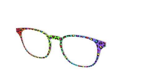 The Rainbow Cheetah