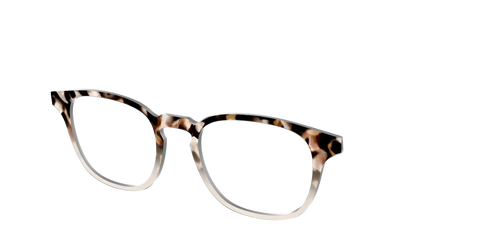 The Vanilla Latte Tortoise