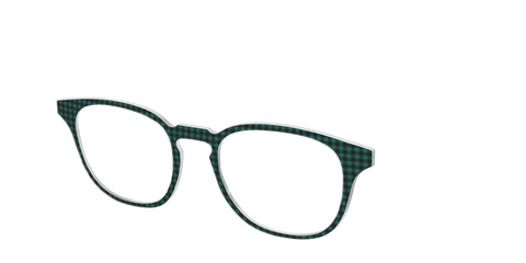 The Vichy Check