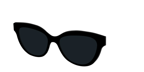 The Non-Polarized Black Sun Top