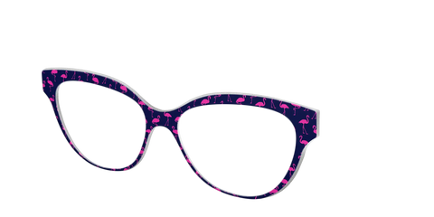 The Navy Flamingos
