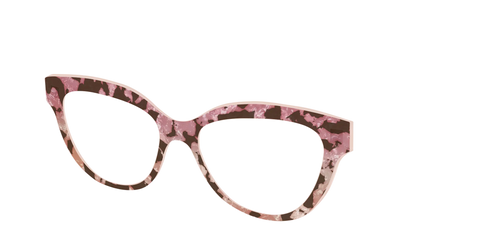 The Pale Peach Pearl Tortoise