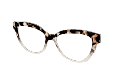 The Vanilla Latte Tortoise