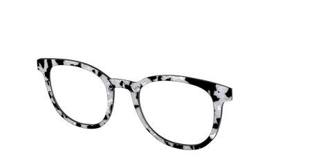 The Black & White Pearl Tortoise