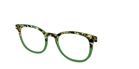 The Forest Tortoise Crystal Split
