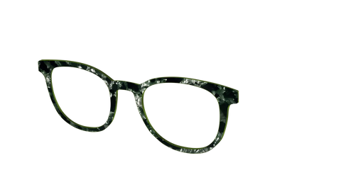 The Olive Pearl Tortoise