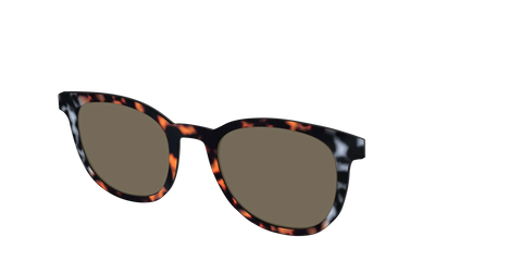 The Polarized Gray & Amber Tortoise Sun Top