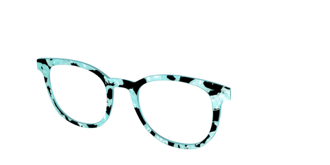 The Robin's Egg Pearl Tortoise