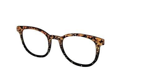 The Rustic Gold Leaf Tortoise
