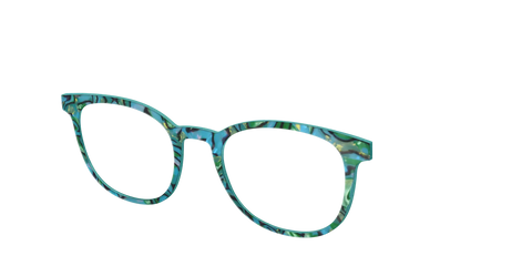 The Teal Turbo Shell