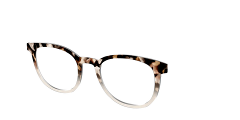 The Vanilla Latte Tortoise