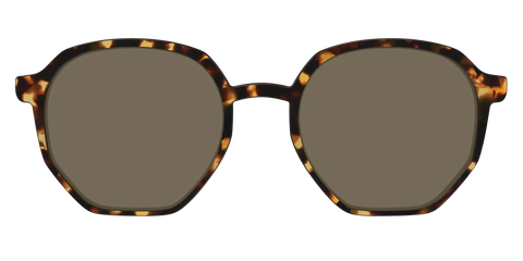 The Non-Polarized Tortoise Sun Top