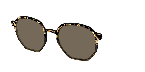The Polarized Caramel Tortoise Horn Split Sun Top