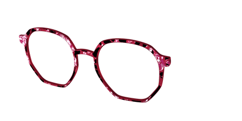 The Raspberry Pearl Tortoise
