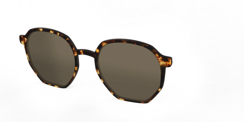 The Polarized Tortoise Sun Top