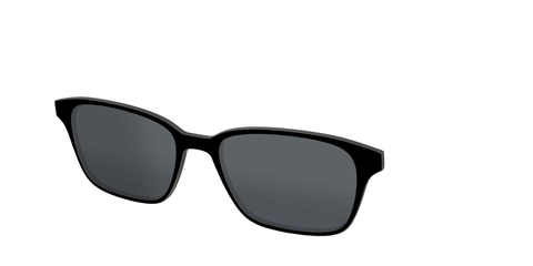 The Polarized Black Sun Top