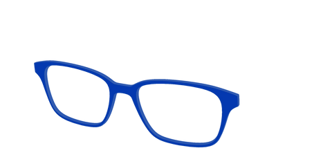 The Indigo