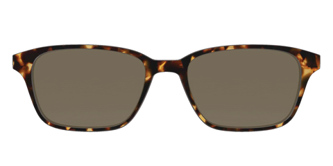 The Non-Polarized Tortoise Sun Top