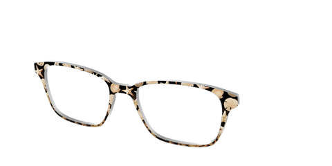 The Ocean Treasures Tortoise