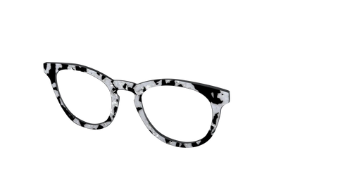 The Black & White Pearl Tortoise