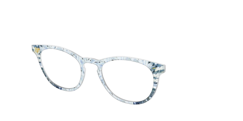 The Hedwig Feathers