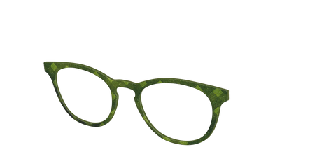 The Olive Geo