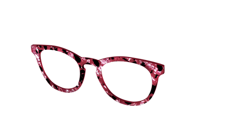 The Raspberry Pearl Tortoise