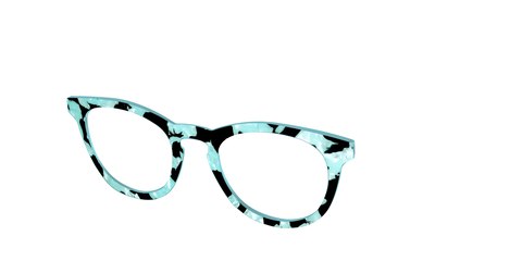 The Robin's Egg Pearl Tortoise